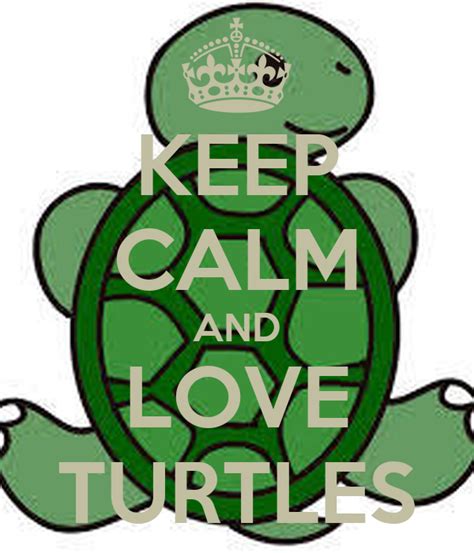 Keep Calm And Love Turtles Keep Calm And Carry On Image Generator