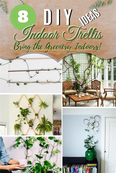 8 Easy Diy Indoor Trellis Ideas To Bring The Greenery Inside Diy