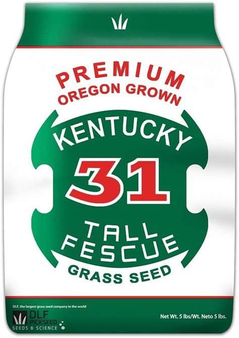 Premium Oregon Grown Kentucky 31 Tall Fescue Grass Seed 5 Lbs 895