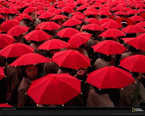 30 Colorful Photographs Of Umbrella Incredible Snaps