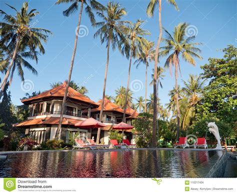 Tropical Landscape With Palm Trees Hotel Stock Photo