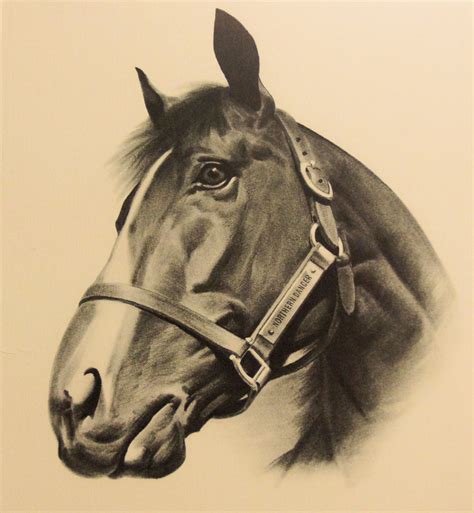 15 beste afbeeldingen van schilderijen en tekeningen dan atelier. Kleurplaat Paardenhoofd : Kleurplaat: paard | Kleurplaten ...