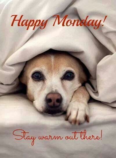 √ Happy Monday Meme Dog