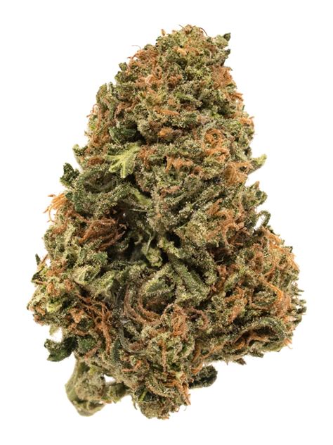 The 7 Best Hybrid Strains