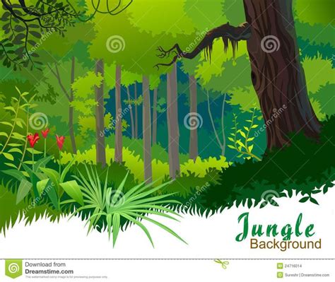 Amazon Jungle Trees And Wilderness Urwaldbaum Kunst