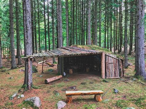 Wilderness Survival Shelter Designs How To Build One Bushcraft