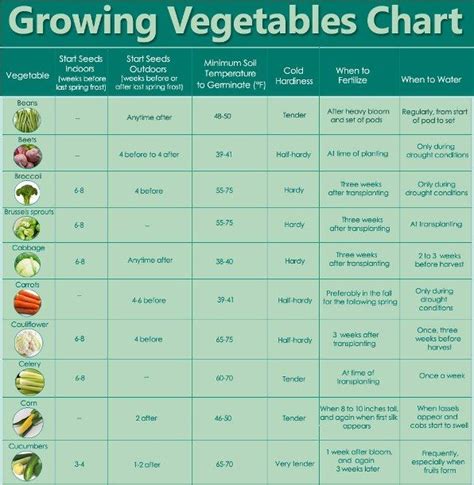 Guidelines For Growing Vegetables Growing Vegetables Vegetable Chart