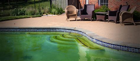 Green Pool Water Caused By Algae Pool Troopers