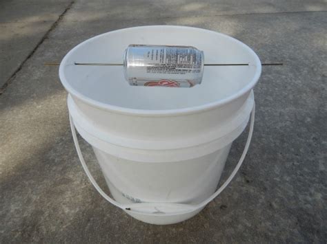 It is known as one of the best homemade traps. Homemade Mouse Trap - Humane Bucket Trap