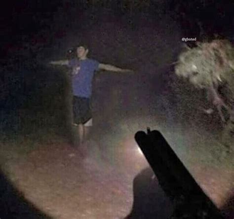 𝙵𝚛𝚊𝚒𝚕𝚎𝙻𝚒𝚊𝚛 Creepy Pictures Cursed Images Funny Memes