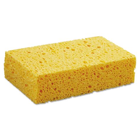 Bwkcs2 Boardwalk Medium Cellulose Sponge Zuma