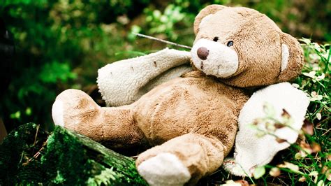 Teddy Bear Toys Stuffed Cute Children Humor Funny