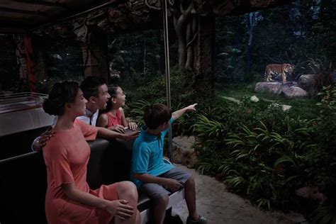 Singapore Night Safari Admission Ticket With Tram Ride Getyourguide