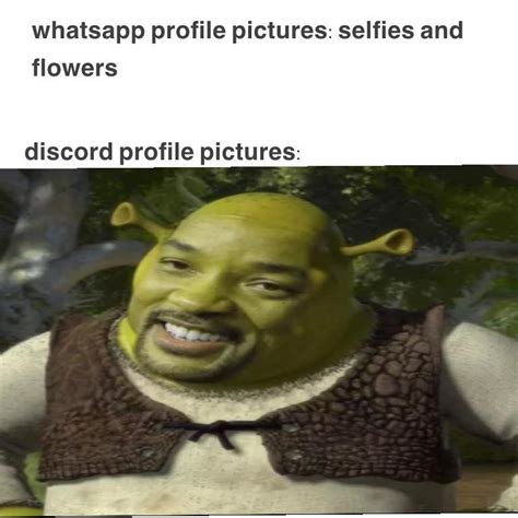 Discord Profile Photo Funny Find Resources Info And Guides Relating