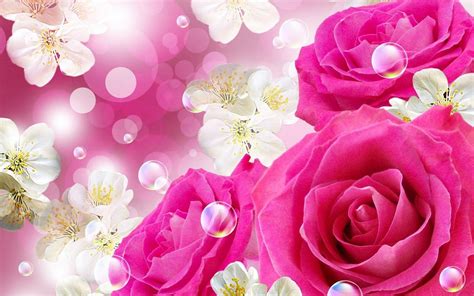 Beautiful Pink Roses Wallpapers For Desktop Wallpaper Cave