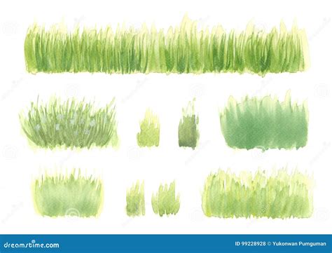 Set Of Hand Drawn Watercolor Green Grass Nature Paint Stock
