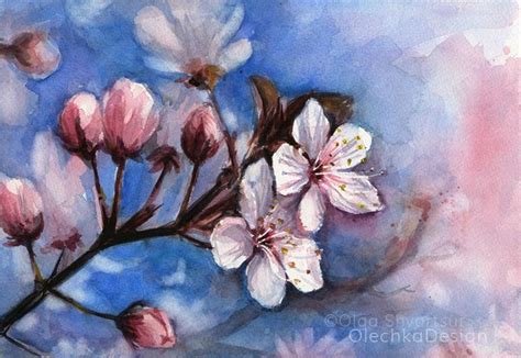 Floral Watercolor Paintings Olechka Design With Images Cherry