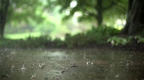 Raining In The Park Youtube