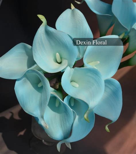 Pcs Real Touch Light Aqua Blue Calla Lily Stems Turquoise For Silk