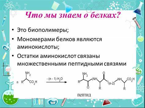 Сколько жиров белков и углеводом употреблять чтобы похудеть