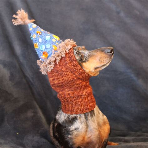 Knitted Dog Birthday Hat Dog Birthday Hat Dog Birthday Dog Hat