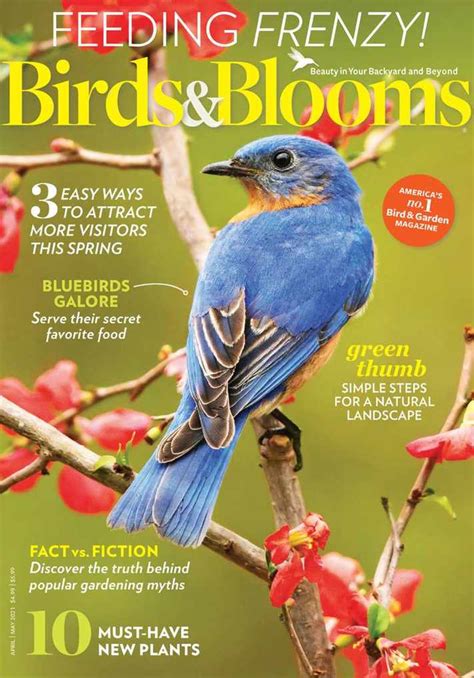 Birds And Blooms Magazine Subscription Discount