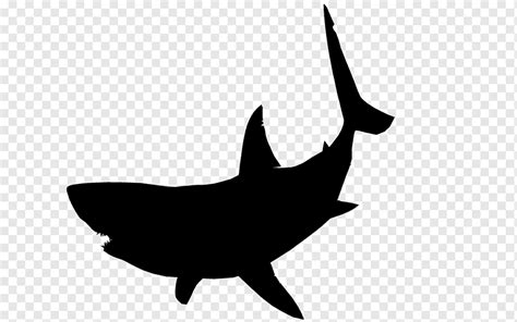 Silhueta Do Grande Tubarão Branco TubarÃo Do BebÊ Mamífero Marinho