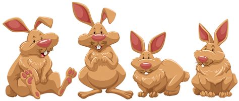 Four Rabbits With Brown Fur 300893 Vector Art At Vecteezy