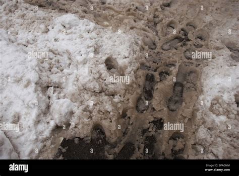 Footprints In Dirty Slushy Snow At Street Crosswalk Stock Photo Alamy
