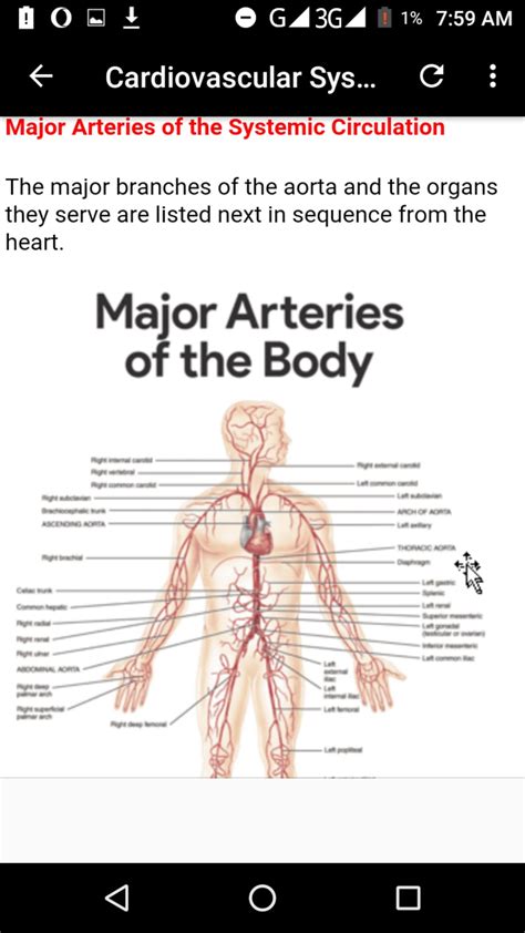 Anatomy And Physiology Apk لنظام Android تنزيل