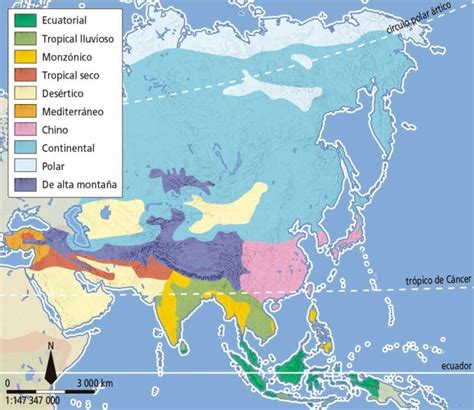 Cuadros Sin Pticos De Las Regiones Naturales De Asia Cuadro Comparativo