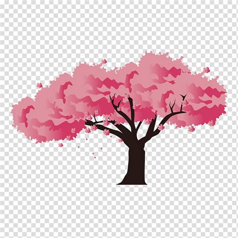 Cherry Blossom Tree Drawing Japan National Cherry