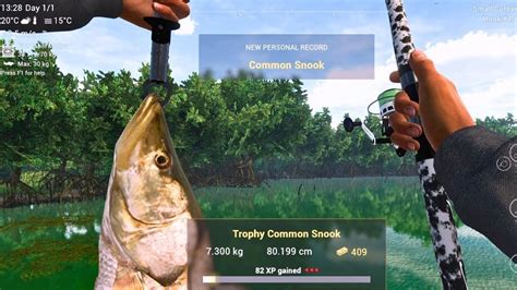 Common Snook On Small Cutbait Fishing Planet Youtube