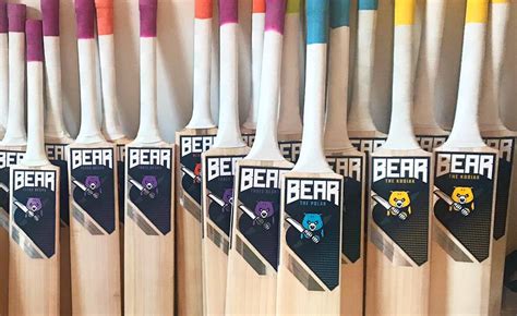 Best Cricket Bat Cricketers Guide 2022 2022