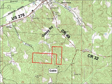 131 Acres In Lamar County Alabama