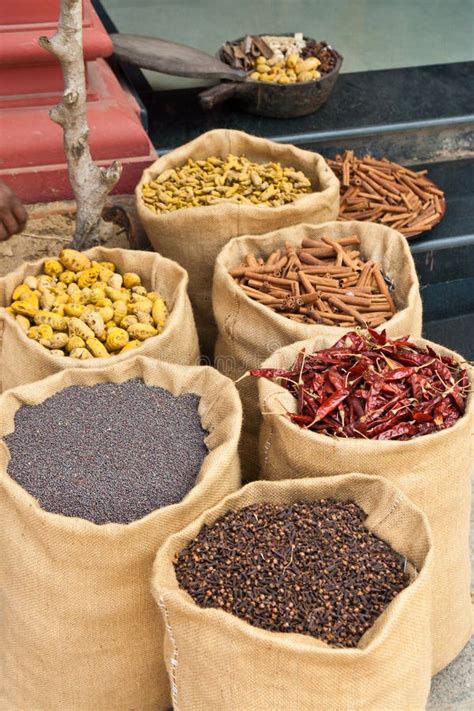 Spices In Kerala India Stock Image Image Of Vertical 24993833