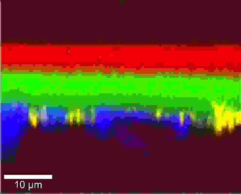 Polymers Witec Raman Imaging Oxford Instruments