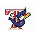 Jays Toronto Mascot Logos Transparent Svg Vector