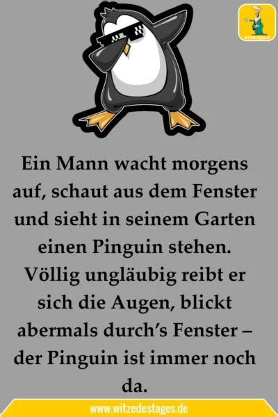Mms Witz Des Tages