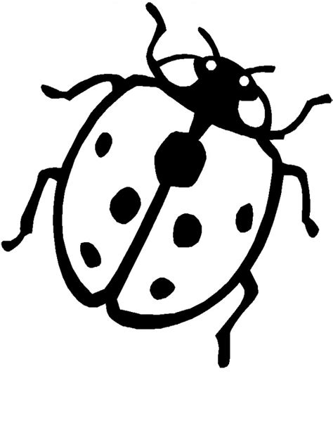 Coloriage Coccinelle Européenne Dessin Gratuit à Imprimer