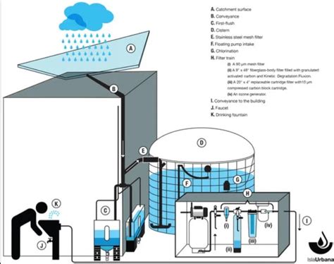 rainwater harvesting design