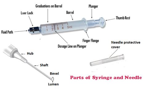 Parts Of Syringe And Needle Functions Uses