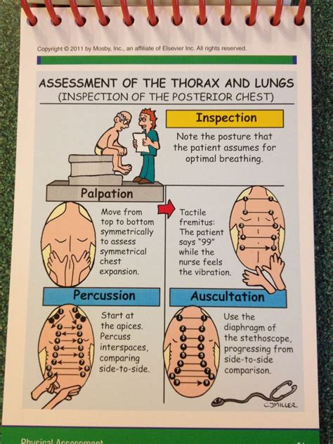 Nurse Nursing Assessment Nursing School Tips