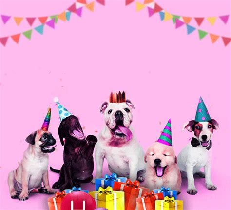 Happy Birthday Dog Animated 