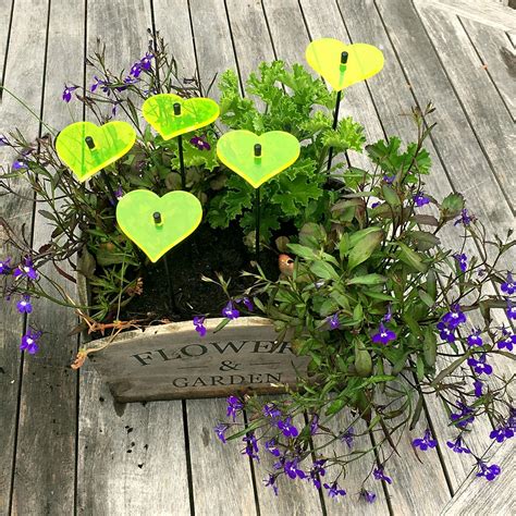 Suncatcher Decorative Garden Stakes Hearts 5x Small Garden Ornaments