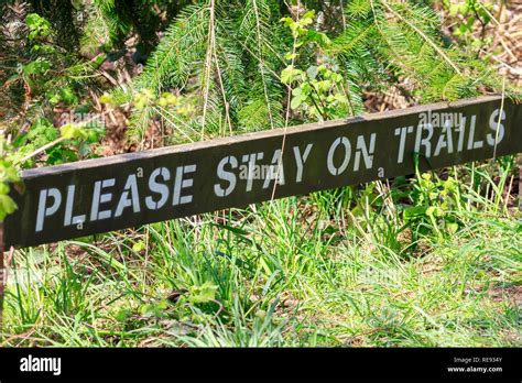 Wooden No Berry Picking Sign Stock Photo Alamy