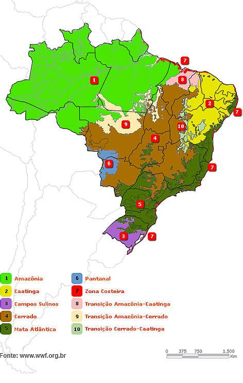 Biomas Brasileiros Wwf Brasil