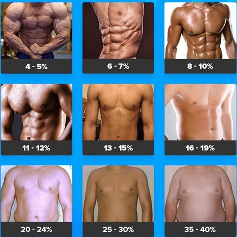 body fat percentage ultimate guide for beginners brad newton fitness