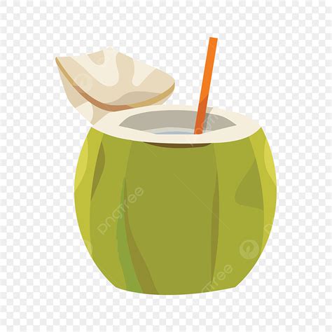 Illustration Vector Graphic Of Young Coconut Perfect For Poster Icon
