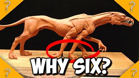 Why Do Animals On Pandora Have 6 Limbs Youtube
